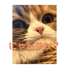 Ozouni_20240909220303