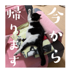 ちちゃんの日常スタンプ♪