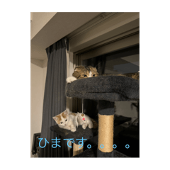 y.t_20240910023752