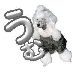 riodayo_20240910001758