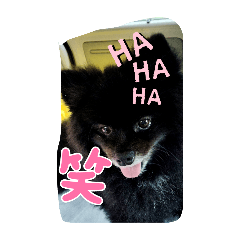 anART_20240909204754