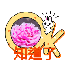 月蘭動圖9