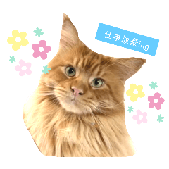 Lovely Cats Stickers by Shigoto Hawking