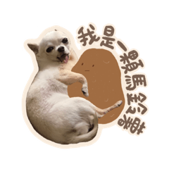 dodo stickers one