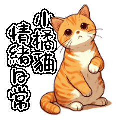 little orange cat is emotional everyday