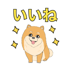 Pomeranian cute sticker!