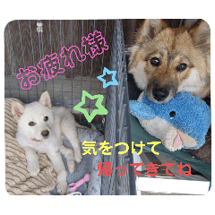 mik_20240910104109