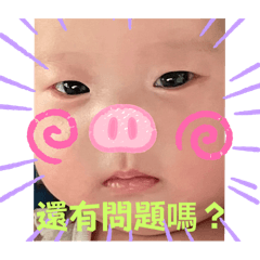 女鵝晨晨
