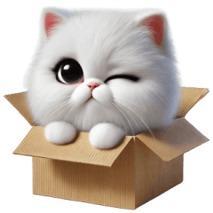 A persian cat in the cardboard box