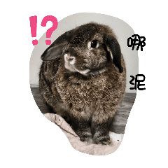 Peng Peng_20240910144857 - Stiker LINE | LINE STORE