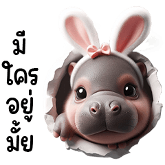 MooDoong adorable baby hippo cute Bunny