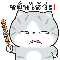 Munkaew little cat V.40