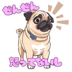 cute dog pug san