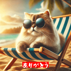 "Cool Cat Beach Stickers"