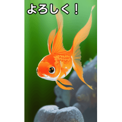 talking goldfish sticker