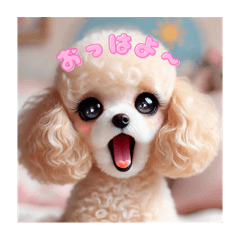 FirstClass_20240910185012