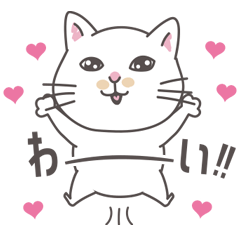 Tika's yukichi cat