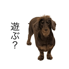 Tutida_20240910232141