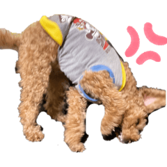 Tabasa_20240911005617