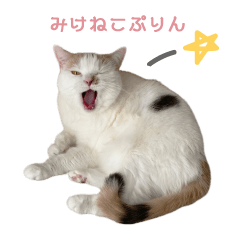 Calico cat purin's daily stickers