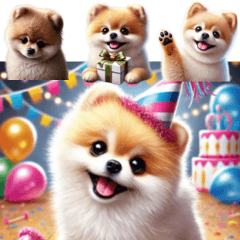 Daisy the Pomeranian: Cute Stickers