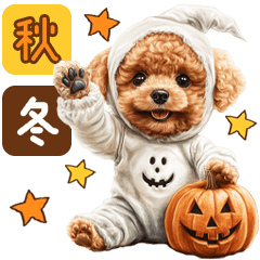 Puppy Toy Poodle |Autumn to Winter|