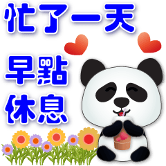 Cute Panda - -Daily Practical Phrases*.*