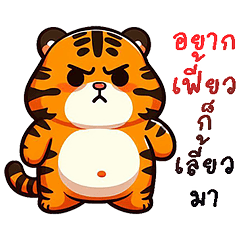 Big tiger funny everyday.