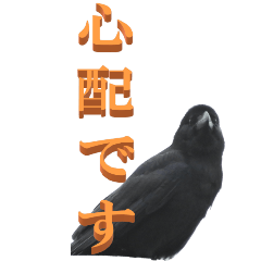 Words used at work From Crow2-BIG