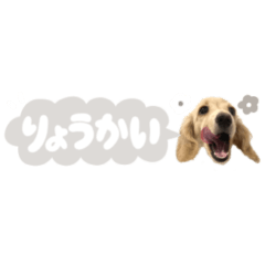 miniature dachshund uni sticker