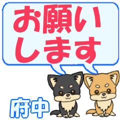 Fuchuu's letters Chihuahua2