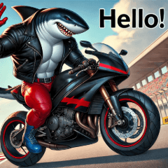 Shark Rider Adventures