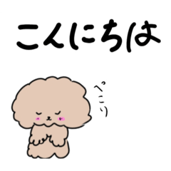 くるみんの日常2024_2