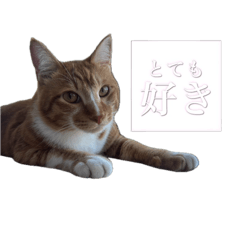 kanokun_20240911204913