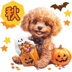 Cute Puppy Toy Poodle In Autumn