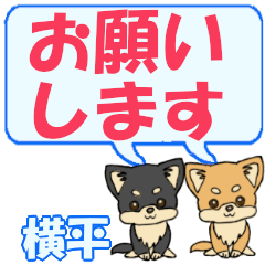 Yokohira's letters Chihuahua2