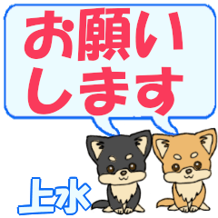 Jousui's letters Chihuahua2