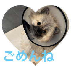 storong_20240912031505