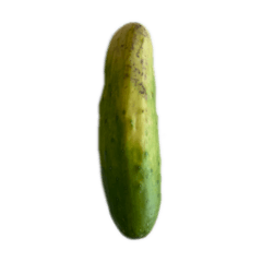 CUCUMBER STICKER 1