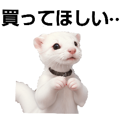 AI 白いフェレットのちーちゃん②