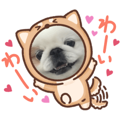 RUBIN_20240912135550