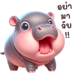 Cute Chubby Hippo 4