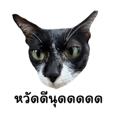 แงวสถาบัน01