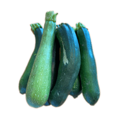 ZUCCHINI STICKER.