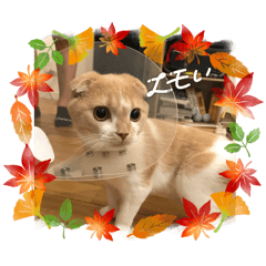 chisa_20240912142518