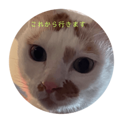 Itimi_20240912142400