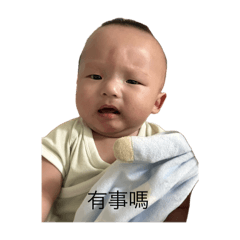 辰辰肥肉辰