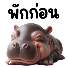 Moo Doong Hippo 5 Baht Parody Big Big