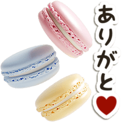 Macaron/Greeting/Celebration #02