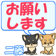 Nifuji's letters Chihuahua2